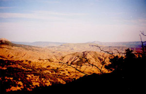Крым, Крымская степь