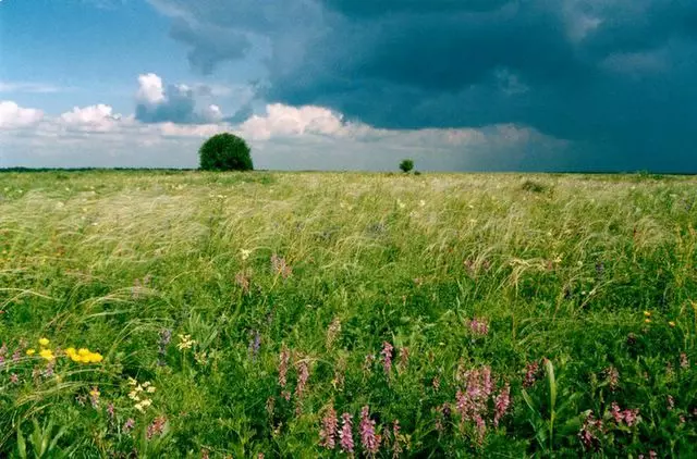 Wolga Steppe bei Pensa