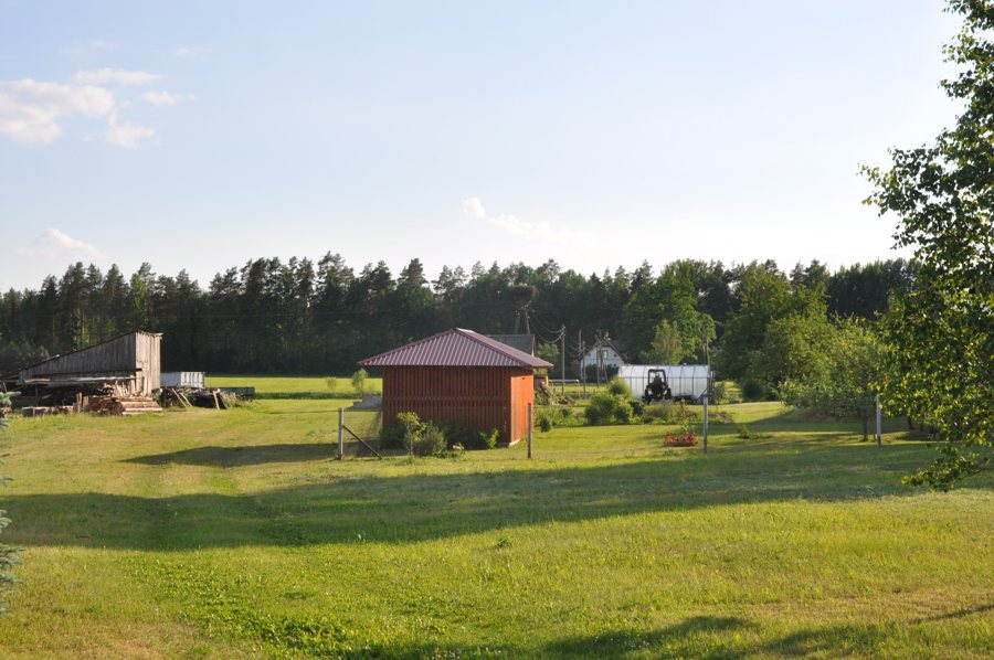 File:Baltā stārķa ligzda Nr.1742, Turkalne, Tīnūžu pagasts, Ikšķiles novads, Latvia - panoramio (1).jpg