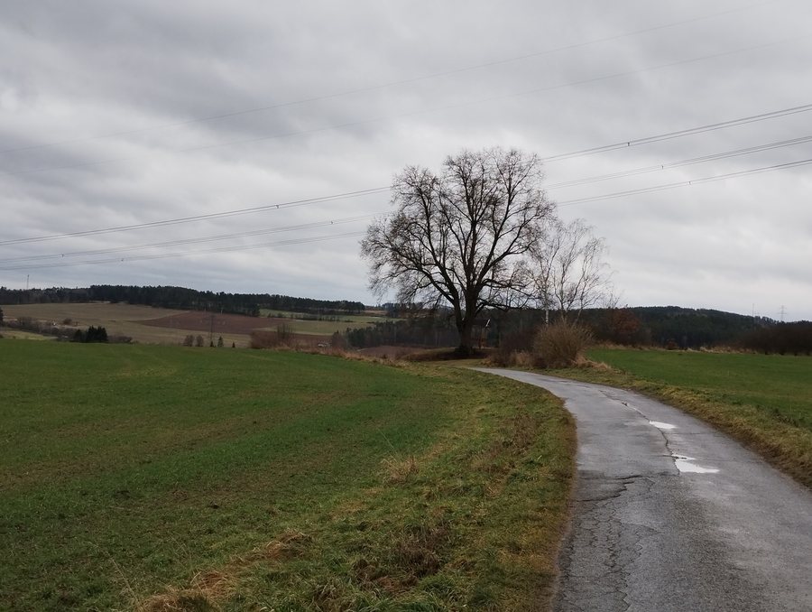 File:Drevníky, únor 2023 01.jpg