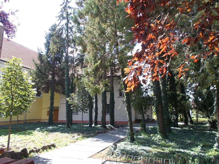 File:25 Köztársaság Street, church detail, garden, 2020 Albertirsa.jpg