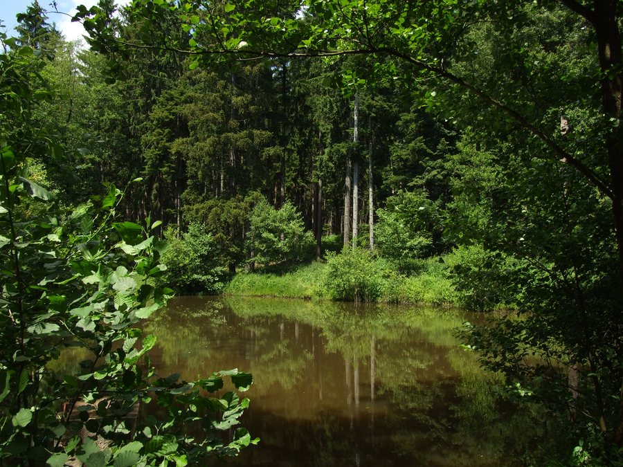 File:Kytín, Na Kopaninách, potok Chouzavá.JPG