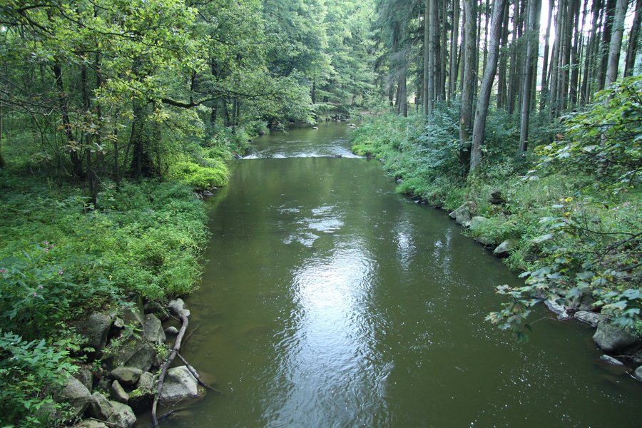 File:Natural monument Vystrkov (1).JPG