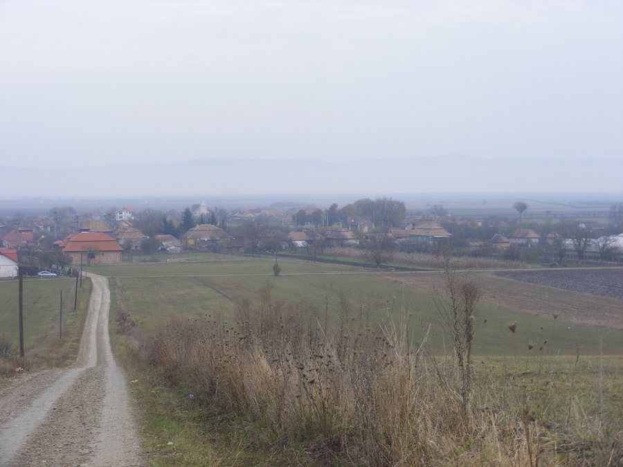 File:Călărași-Gară.JPG