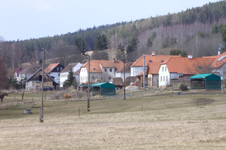 File:Borová, domy.jpg