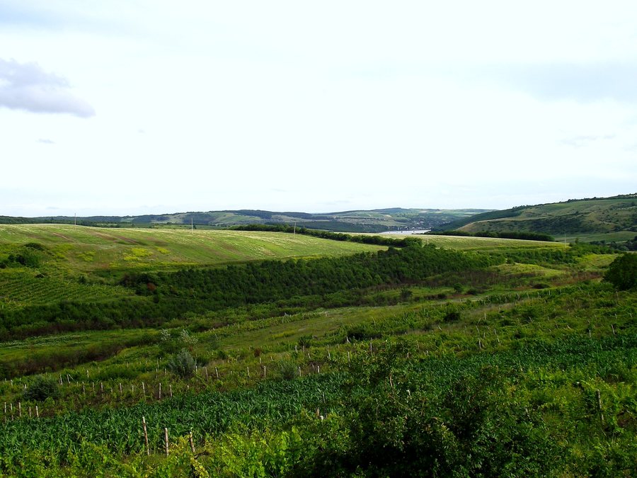 File:Ialoveni District, Moldova - panoramio.jpg