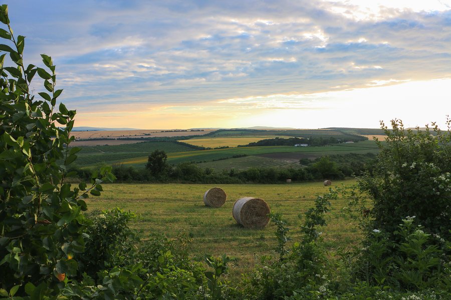 Felsőörs puszta from the road1105 - Zsámbék-Mány