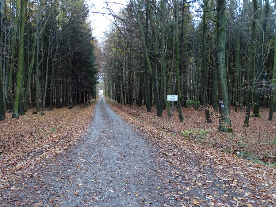 File:Broumy, Kolna, odbočka k hájovně.jpg