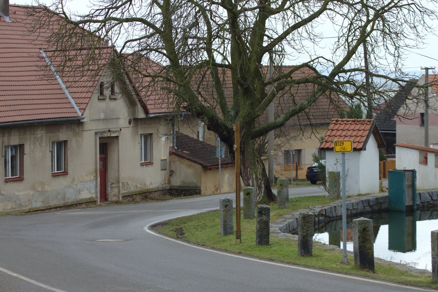 File:Černolice, cesta u rybníka.jpg