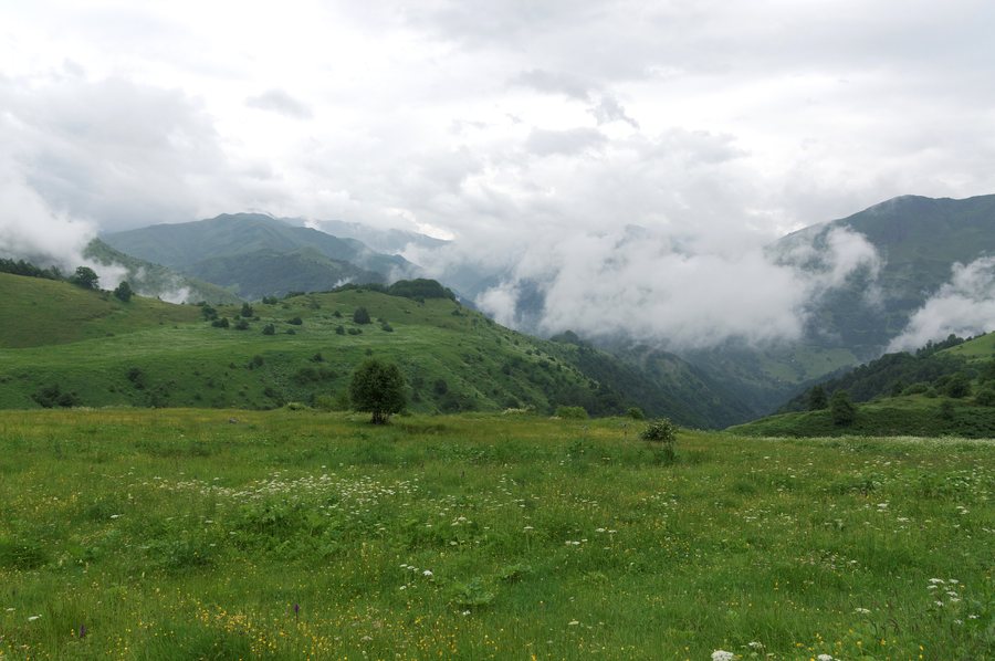 File:Abudelauri valley under clouds, early summer, Georgia.jpg