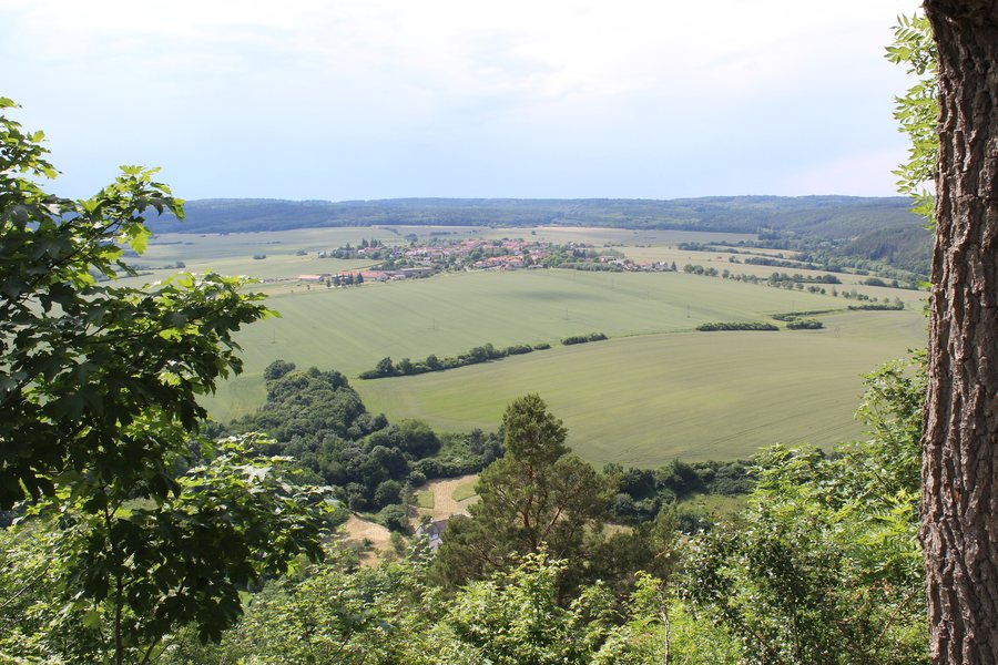 File:131 Před hradem Točník SZ Bzová.jpg