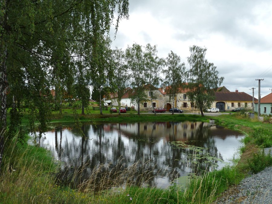 File:Hradiště (Kaplice), rybník.jpg