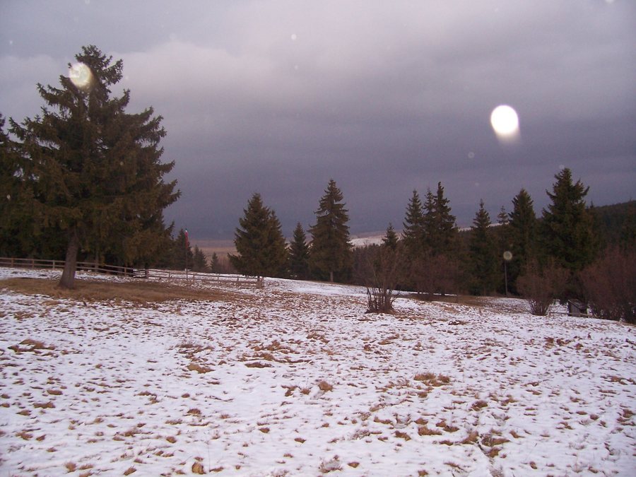 File:Csikdanfalva - Danesti - 2007 - full moon - panoramio.jpg