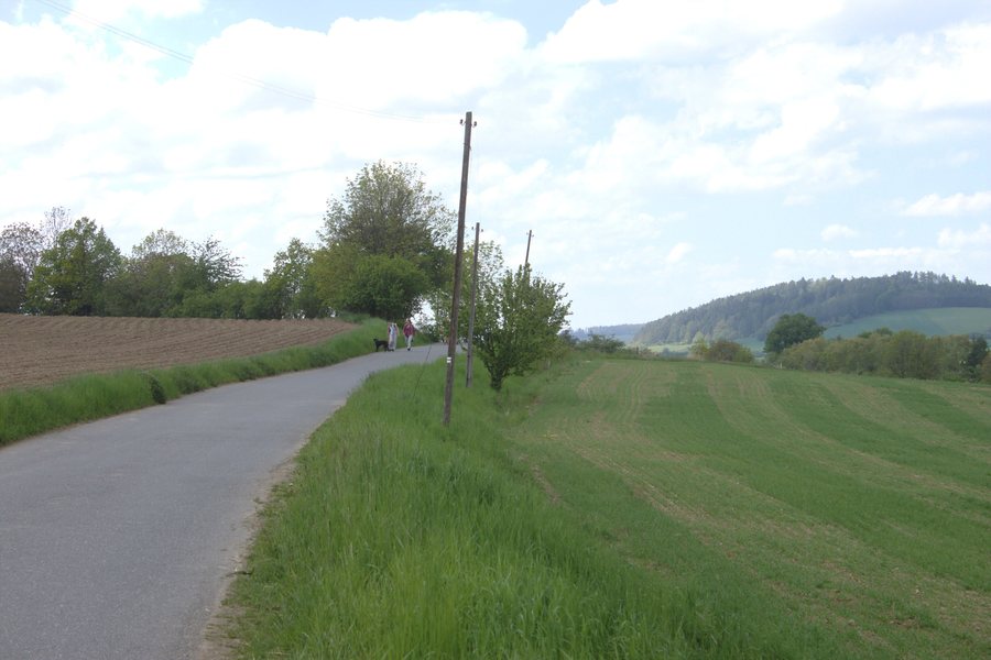 File:Skuhrov, silnice u vesnice.jpg