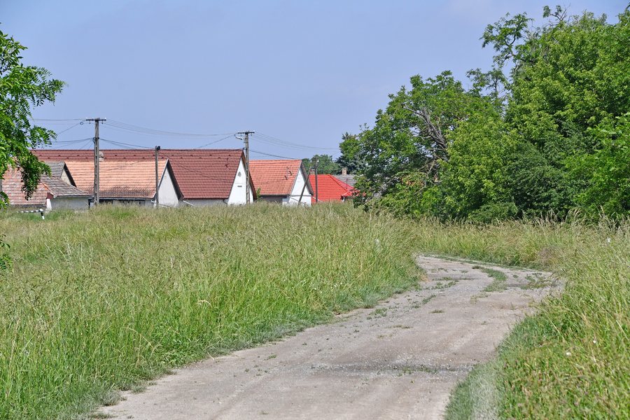File:Gerjen, Duna-parti töltés 2024 01.jpg