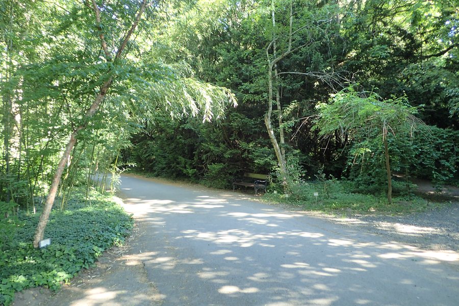 Botanical garden in Vácrátót kz01.jpg