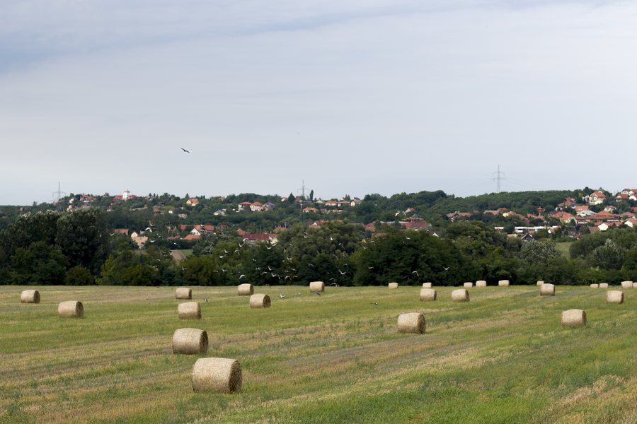 File:Csömör.jpg