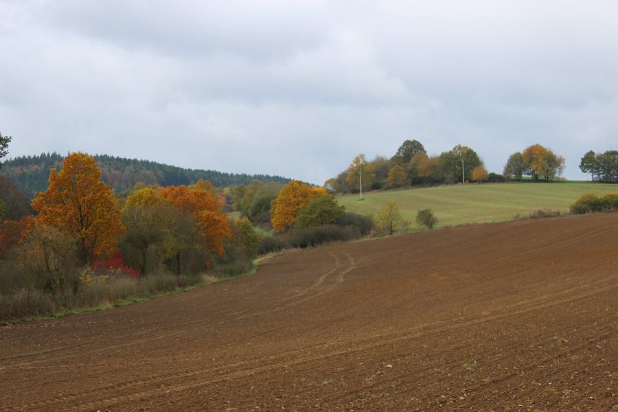 File:Krašovice (Krásná Hora nad Vltavou). Okres Příbram (001).jpg