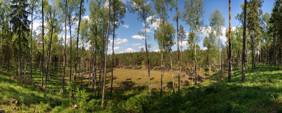 File:Pustlaukio duobė (panorama).jpg