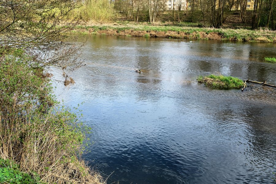 File:Citice Ohře duben 2024 (1).jpg