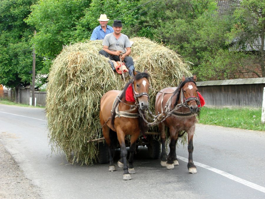 File:Mara Valley - near Maramures - Romania.jpg