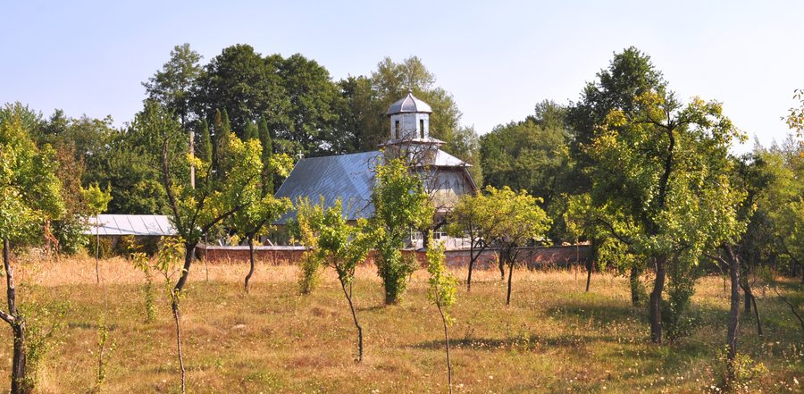 File:RO GJ Biserica de lemn Cuvioasa Paraschiva din Carpinis (18).JPG