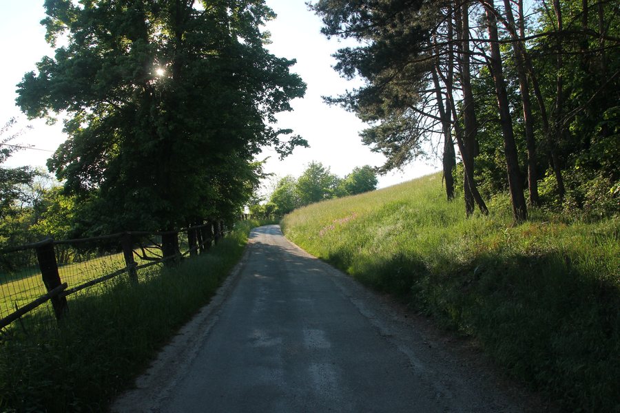 File:Panská Tisovnice, Vysoký Chlumec, 2021 (02).jpg