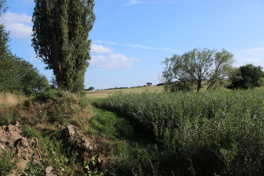 File:Zduchovice. Okres Příbram. (002).jpg
