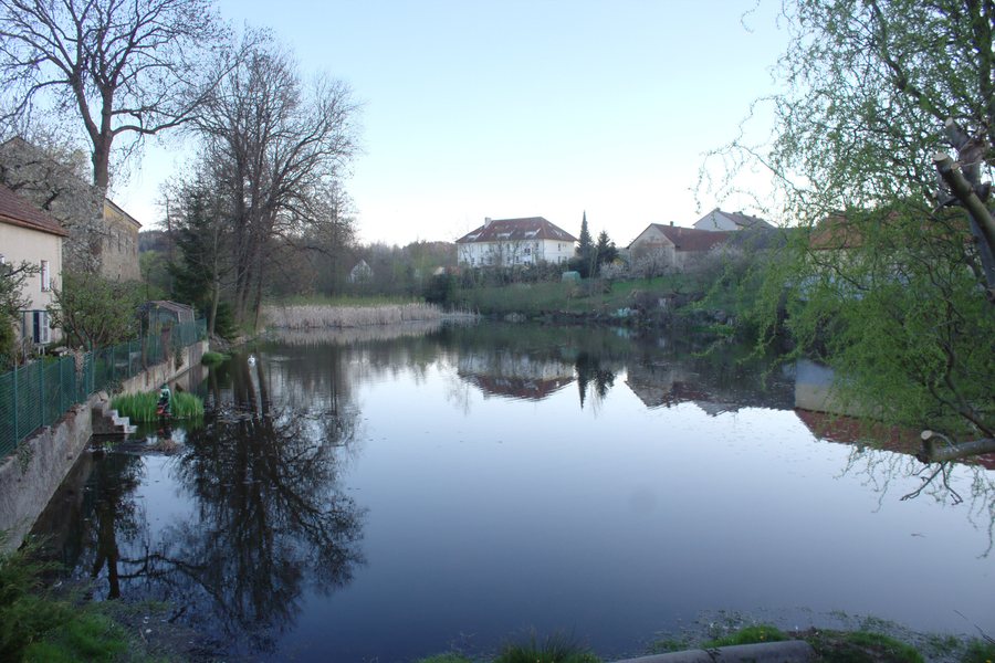 File:Nechvalice, rybník II.jpg