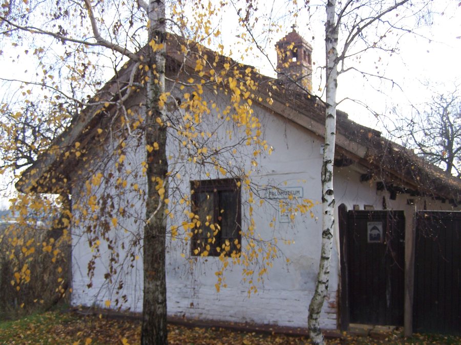 Lakóépület (Falumúzeum) (Dány, Deák krt. 10.)