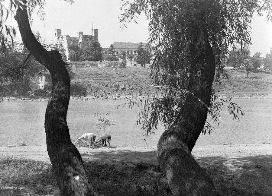 Sárospatak, Borsod-Abaúj-Zemplén County: Rákóczi Castle from the left bank of the Bodrog