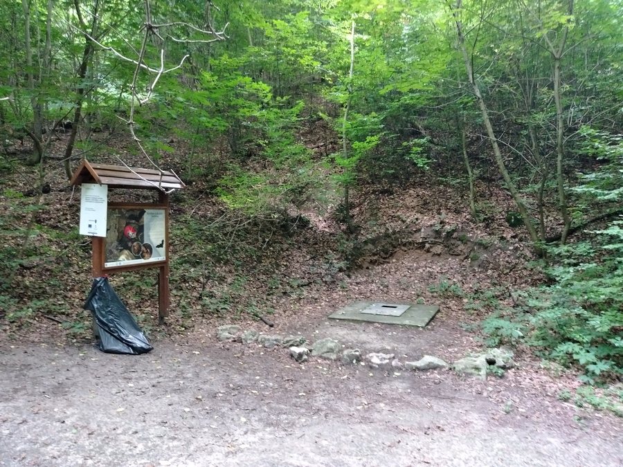 File:Vértes László-barlang2.jpg