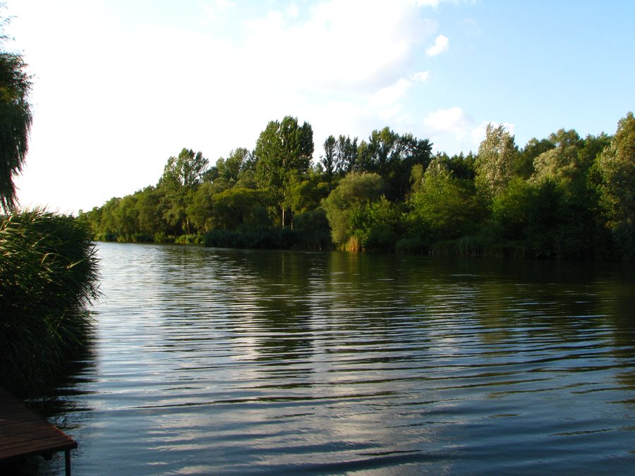 File:Pamut Lake at Ivacs, Veresegyház, HU - panoramio.jpg