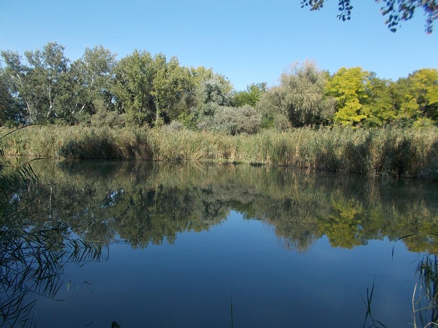 File:Danube-Tisza Canal, 2019 Dunaharaszti.jpg