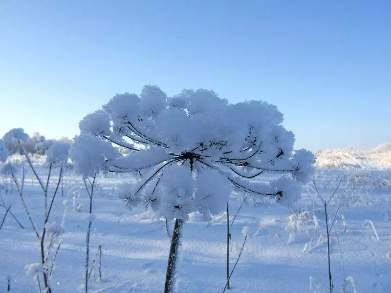 Russlands arktischer Norden